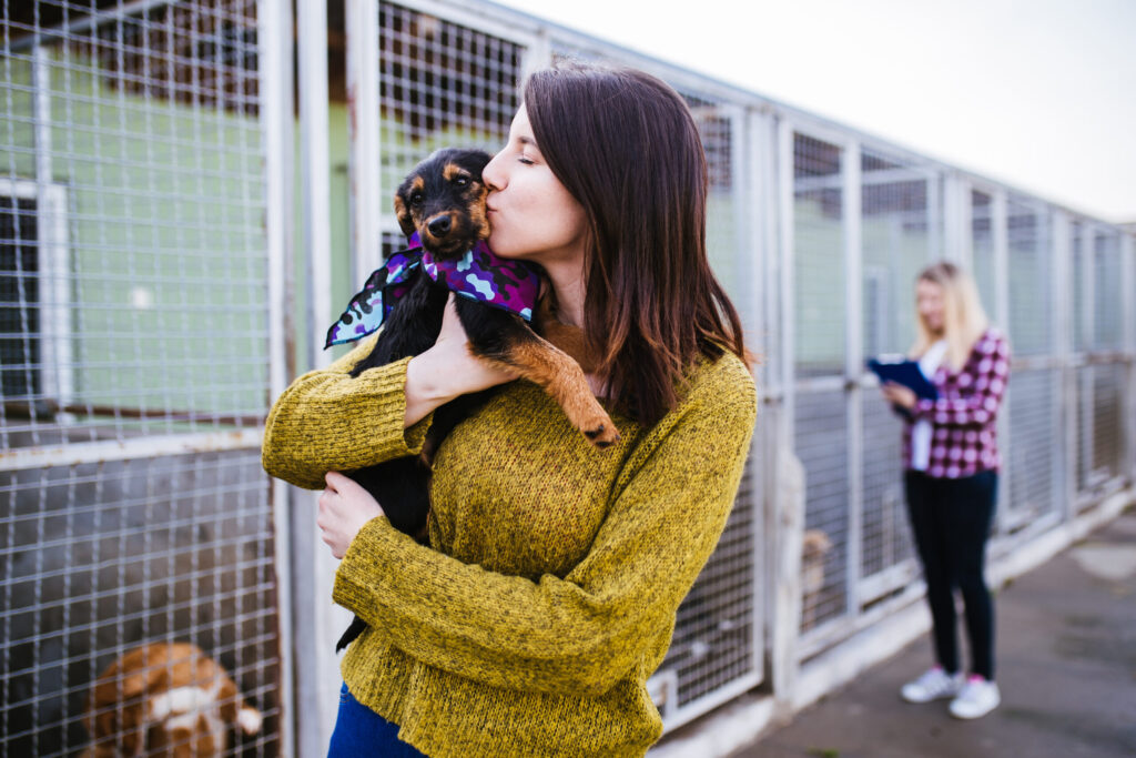 A female volunteer hugging a puppy at the animal shelter