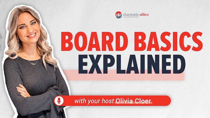 The thumbnail for the board basics episode of the podcast 501c Suite.